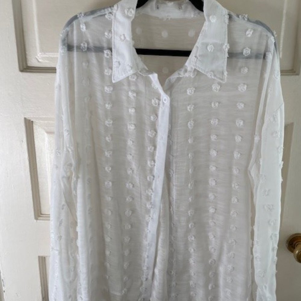 Lovely blouse; white, sheer dotted Swiss, button front, 2xl